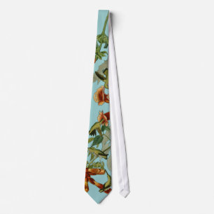 Corbata Hummingbird Ruby Throated Audubon