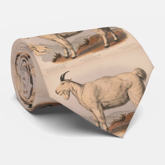 Corbata Ilustracion de cabra (1874) (Enrollado)