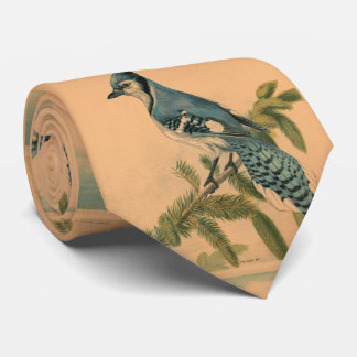 Corbata Ilustracion vintage de un Jay azul (1880)