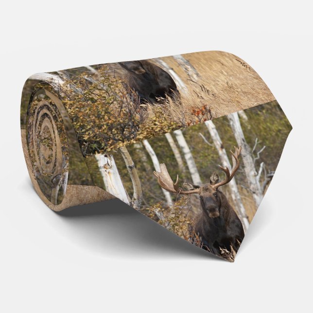 Corbata Impresionante alce toro (Enrollado)