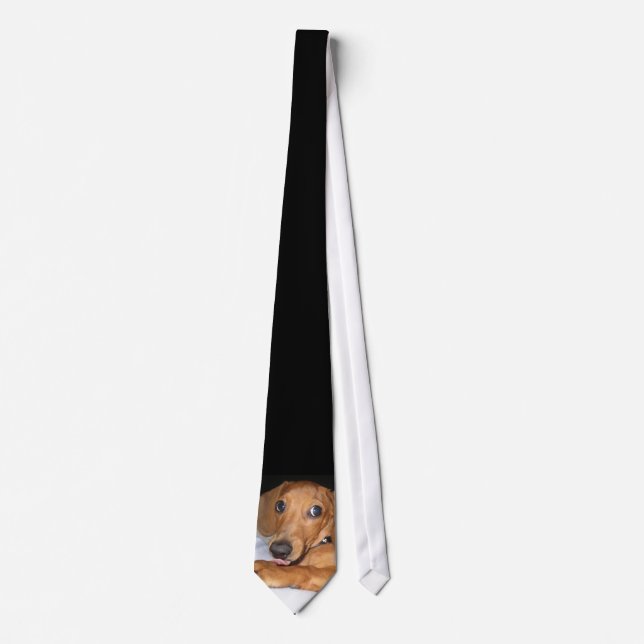 Corbata imthinkingicecreamcrockett (Anverso)