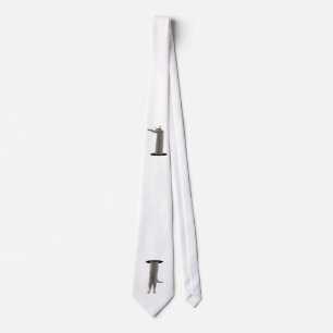 Corbata interdimensional LongCat