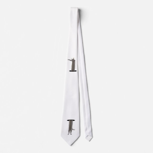 Corbata interdimensional LongCat (Anverso)