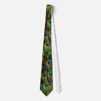 Corbata Invasión de Peacock Feathers
