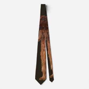 Corbata Irlandés Setter