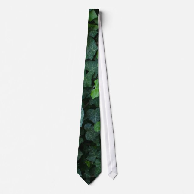 Corbata Ivy tie (Anverso)