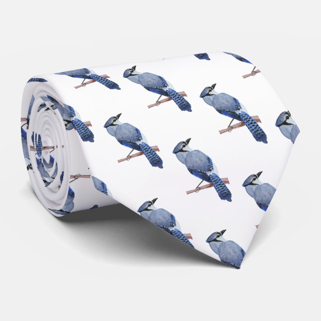 Corbata Jay azul (Enrollado)