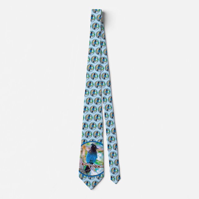 Corbata Jay de Steller - Fotografía original (Anverso)