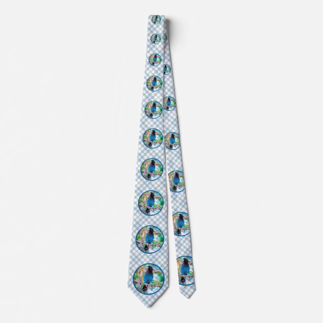 Corbata Jay de Steller - Fotografía original (Anverso)