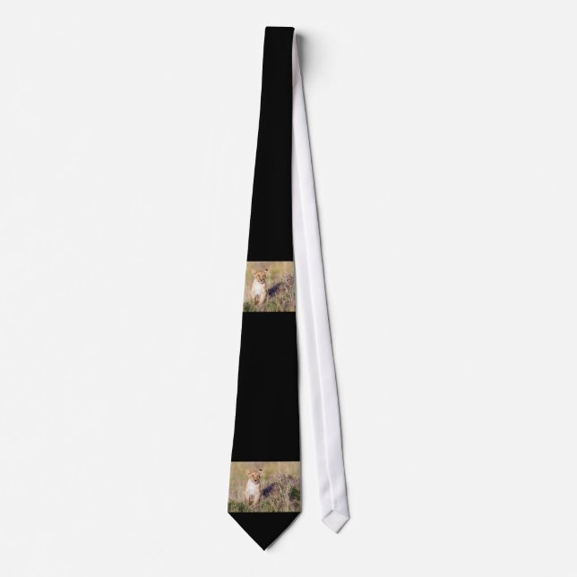 Corbata Joven león (Anverso)