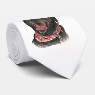 Corbata Jugosa festividad Black Labrador Recuperador Perro