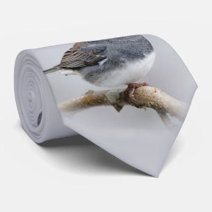 Corbata Junco teñido de color pizarra en el árbol de peras
