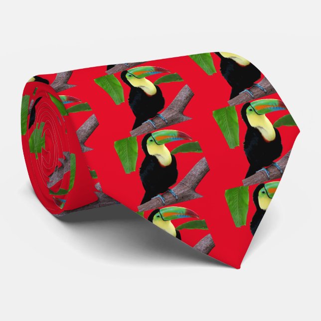 Corbata Keel-billed Toucan (Enrollado)