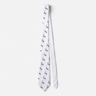 Corbata Kiteboarder