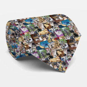 Corbata Kitten Photo Collarge,