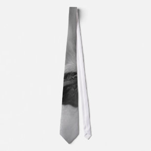 Corbata La colección de Hugo
