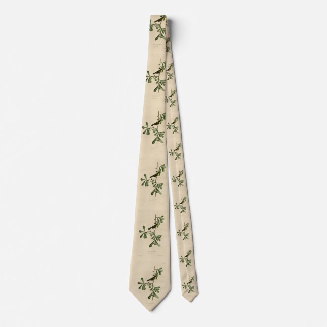 Corbata La garganta amarilla de Roscoe, los pájaros de Amé (Anverso)