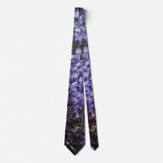 Corbata La glicina florece en primavera