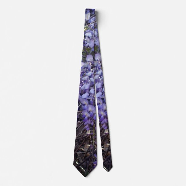 Corbata La glicina florece en primavera (Anverso)
