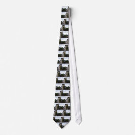 Corbata Laino Borgo