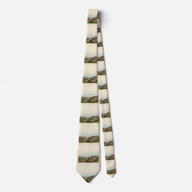 Corbata Lapland Long-spur, de Aves de América de Audubon (Anverso)