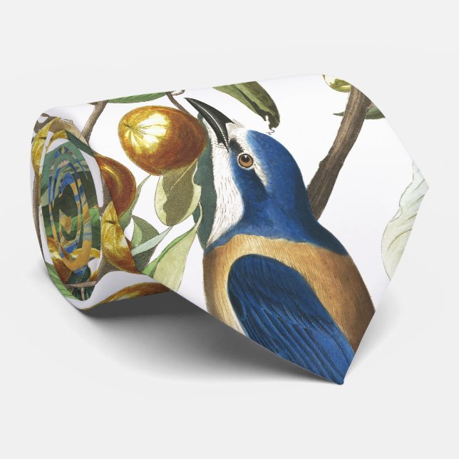 Corbata Lazo animal de la fauna de los pájaros de Audubon (Enrollado)