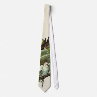 Corbata Lazo azul de Budgie