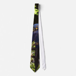 Corbata Lazo azul de McCaw
