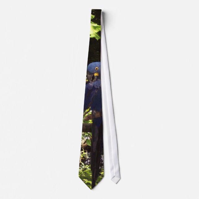 Corbata Lazo azul de McCaw (Anverso)