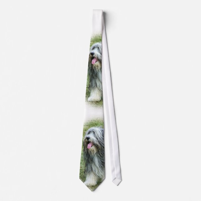Corbata lazo barbudo del collie (Anverso)
