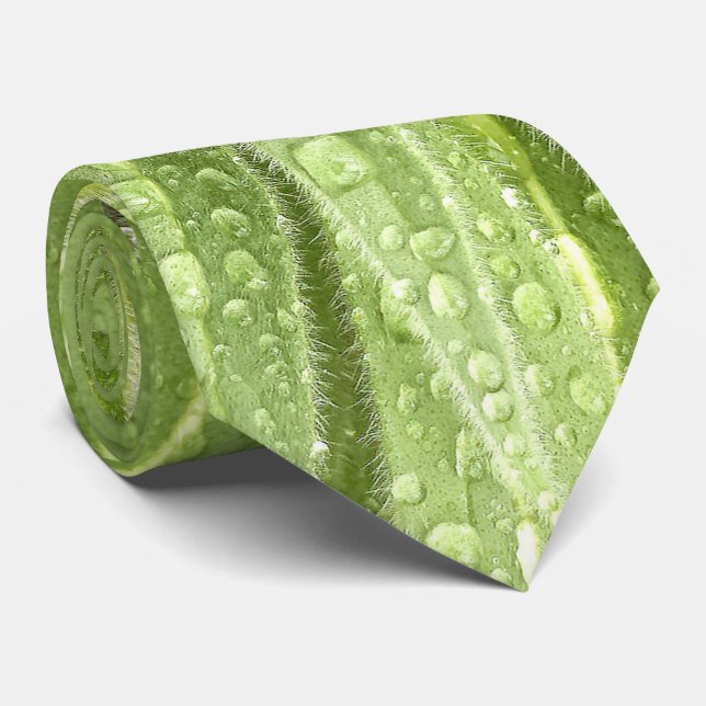 Corbata Lazo chispeante de los descensos (Enrollado)