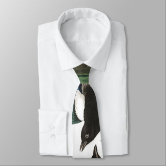 Corbata Lazo de la fauna de Audubon de los pájaros de la