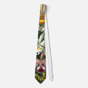 Corbata Lazo de la orquídea