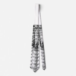 Corbata Lazo de la radiografía