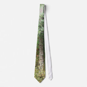 Corbata Lazo del árbol de la secoya
