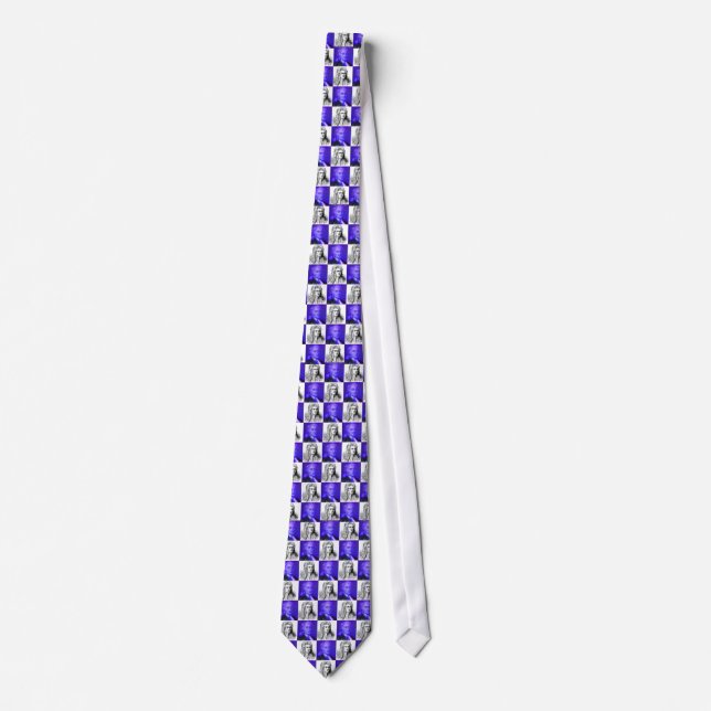 Corbata Lazo del arte pop de Isaac Newton (Anverso)