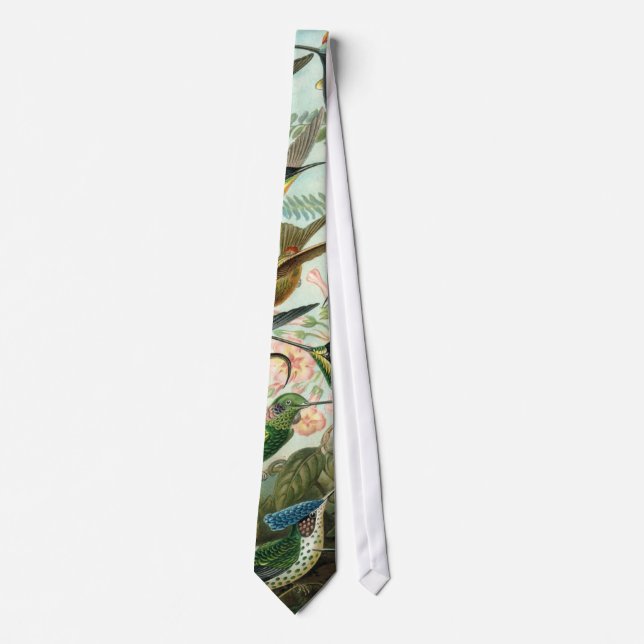 Corbata Lazo del colibrí (Anverso)