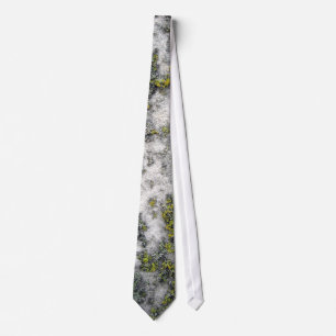 Corbata Lazo del liquen