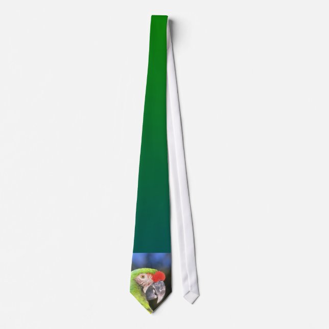 Corbata Lazo del loro (Anverso)
