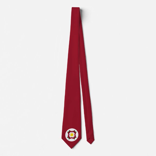 Corbata Lazo del marrón de NUP (Anverso)