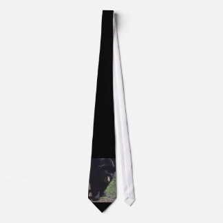 Corbata Lazo del oso negro