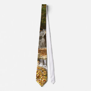 Corbata Lazo del otoño