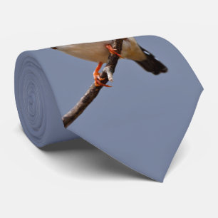 Corbata Lazo del pinzón de cebra