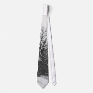 Corbata Lazo del solsticio de invierno
