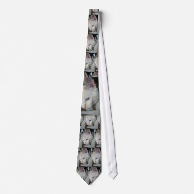 Corbata Lazo, gato blanco (Anverso)