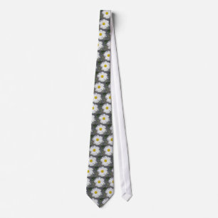 Corbata Lazo grande de la margarita blanca