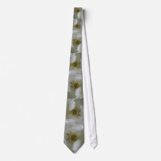 Corbata Lazo (grande) del flor de la flor de la magnolia