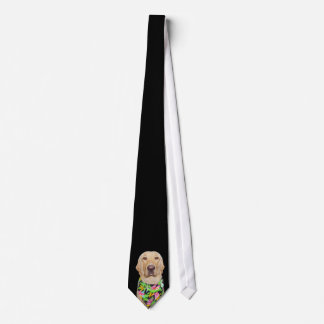 Corbata Lazo hermoso de Labrador