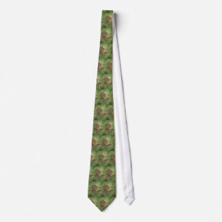 Corbata Lazo malo (serpiente)