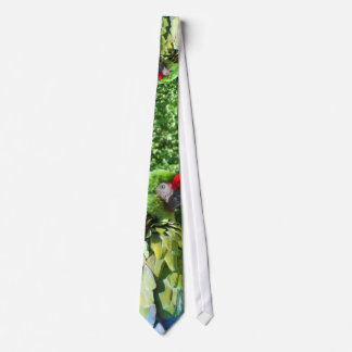 Corbata Lazo militar 2,1 del Macaw